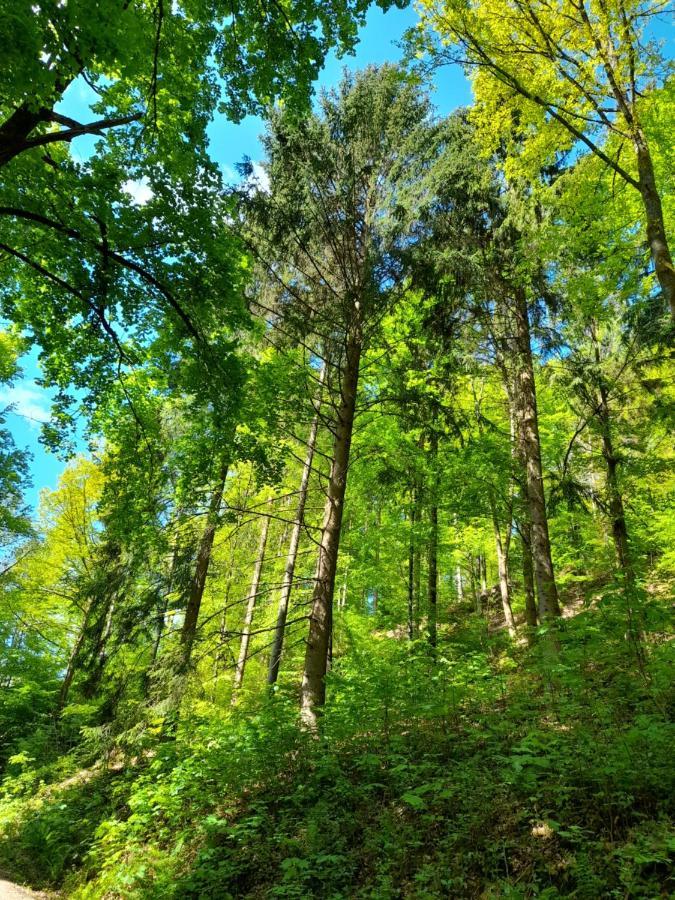 Ferienwohnung Am Enzufer Mit Balkon In Bad Wildbad Im Schwarzwald Εξωτερικό φωτογραφία