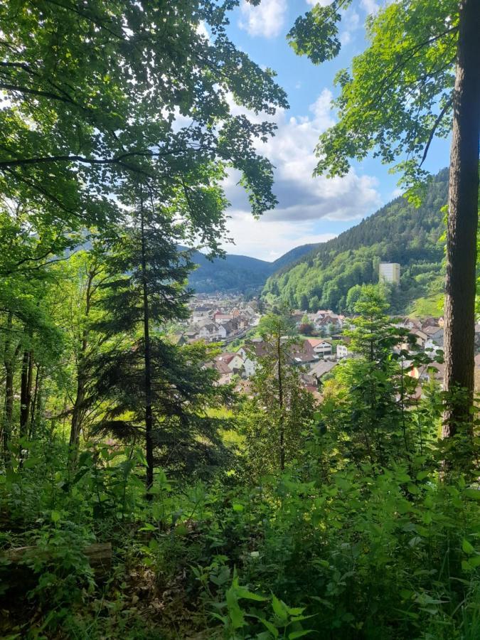 Ferienwohnung Am Enzufer Mit Balkon In Bad Wildbad Im Schwarzwald Εξωτερικό φωτογραφία